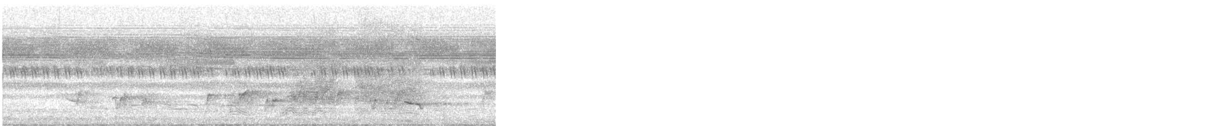 Широкорот африканський [група afer] - ML646800327