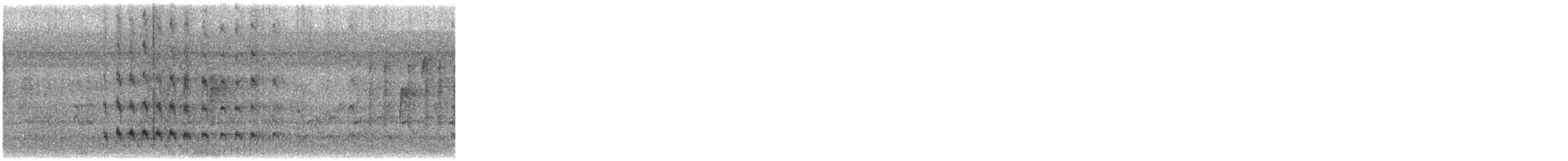 Зенаїда північна - ML646800434