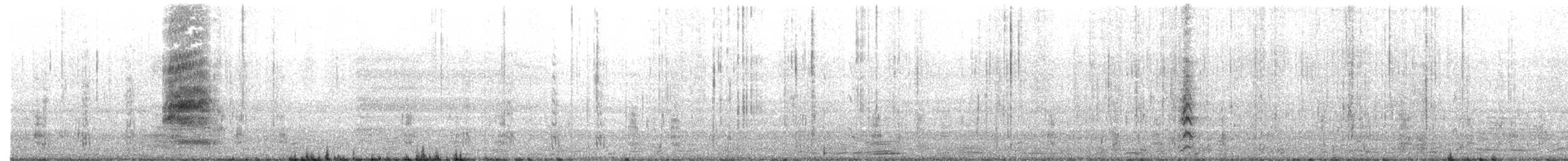 Black-headed Gull - ML646800920