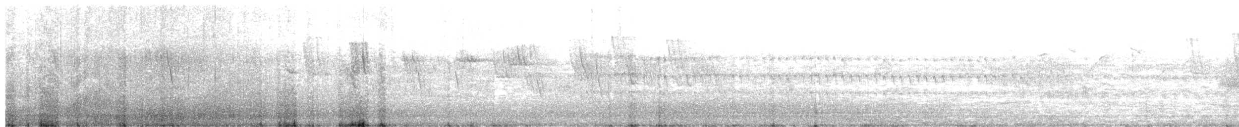 Plain Parakeet - ML646801272