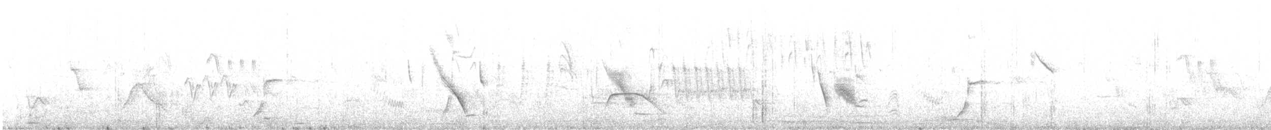 Ластовиця патагонська - ML646801325