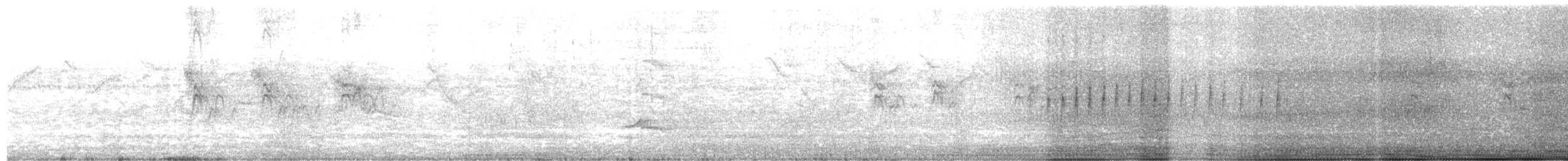 Tordo Renegrido - ML646801350