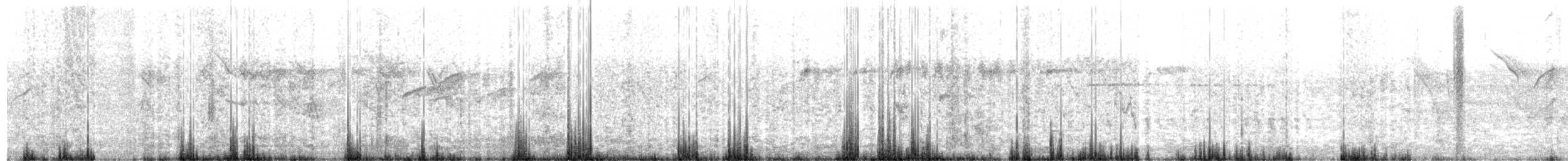 Picabuey - ML646801425