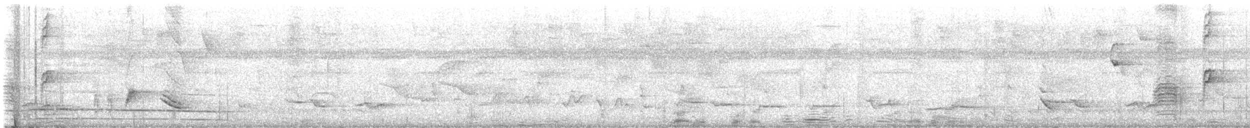 Pepitero Grisáceo del Caribe - ML646801488