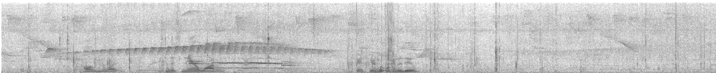 Hormiguero Plateado - ML646801513