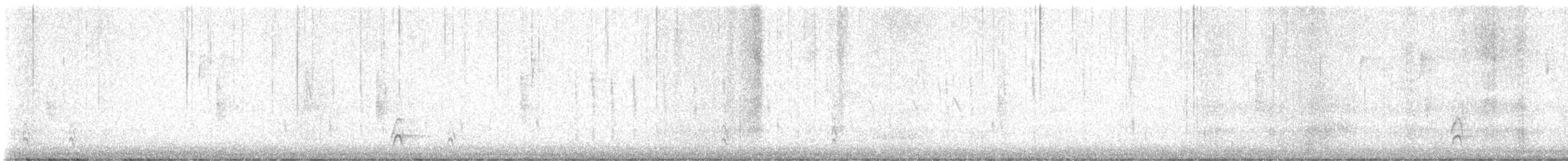 Zorzal Americano - ML646801537