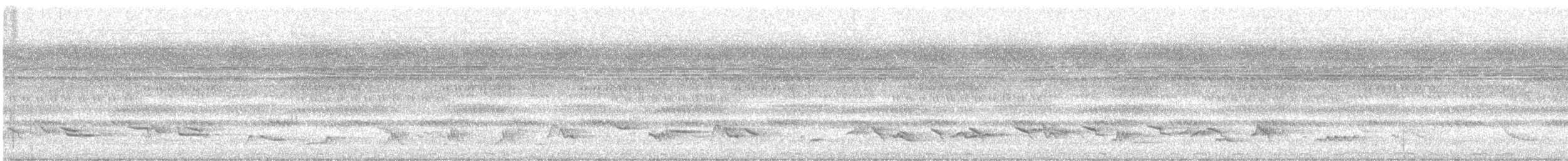 Дрізд африканський [група pelios] - ML646801714