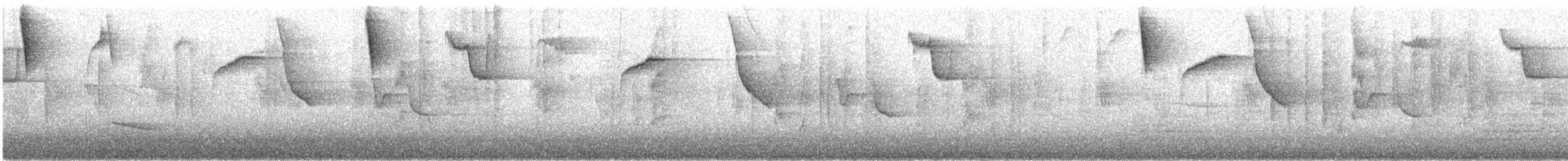 Cerquero Picofino - ML646801813