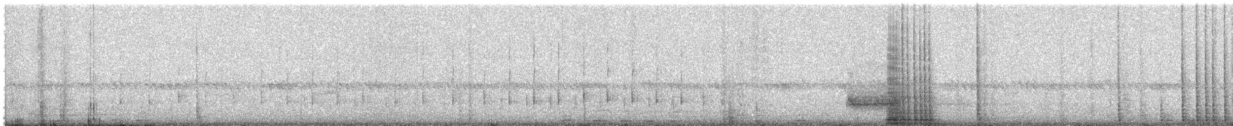 Lechuza Común Americana - ML646801927