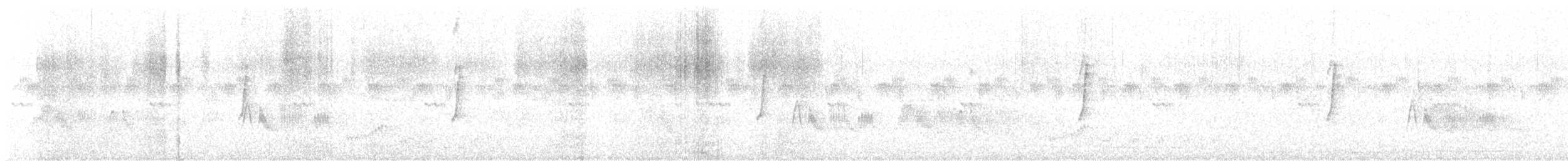 Canastero Coludo - ML646801977