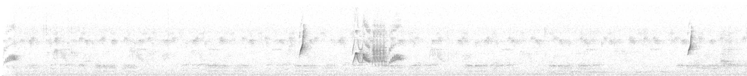 Canastero Coludo - ML646801978