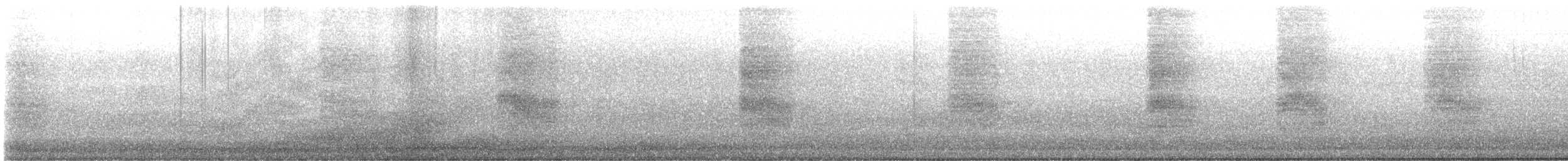 California Scrub-Jay - ML646802098