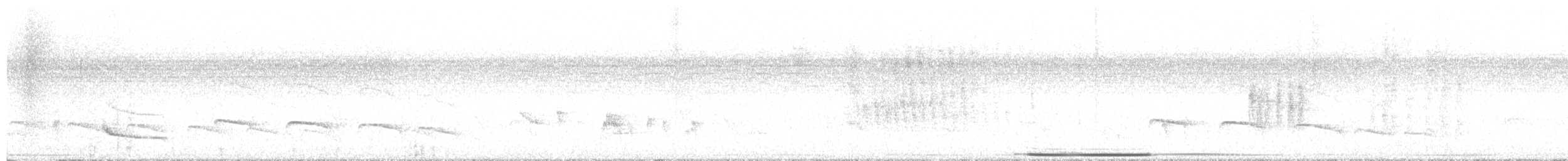 White-tipped Dove - ML646802243