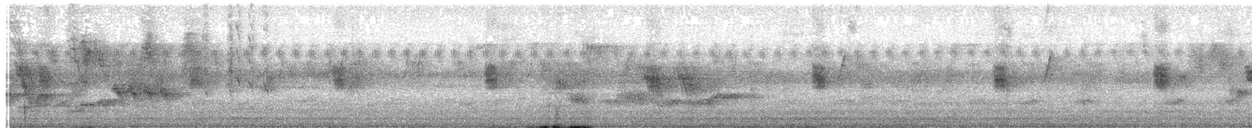 White-winged Swallow - ML646802516