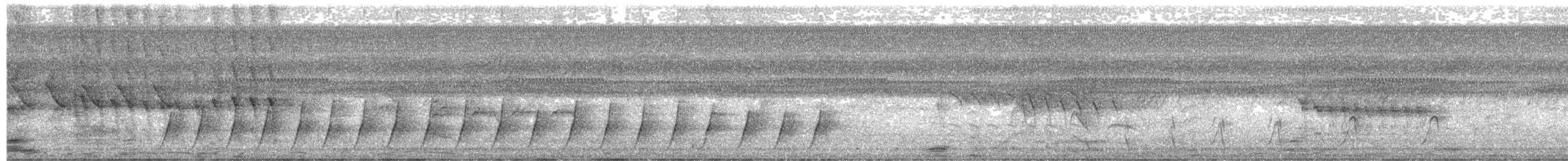 Black-capped Donacobius - ML646802727