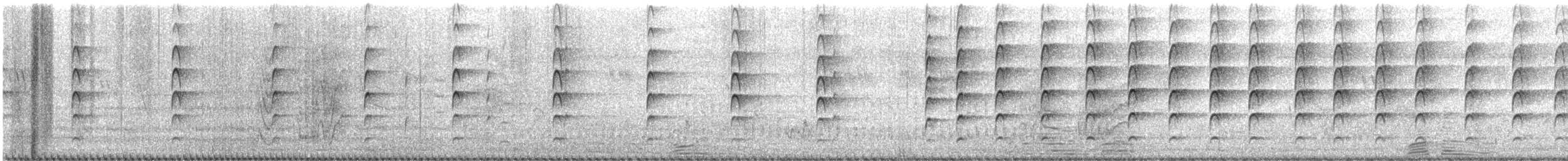 Чайка шпорова - ML646802767