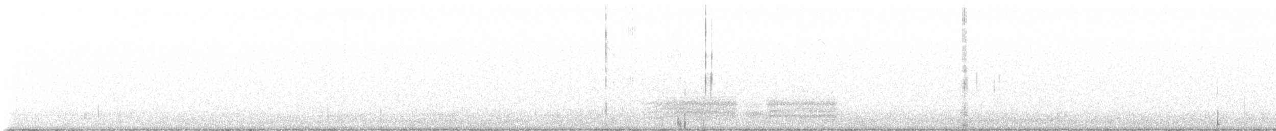 bird sp. - ML646802950