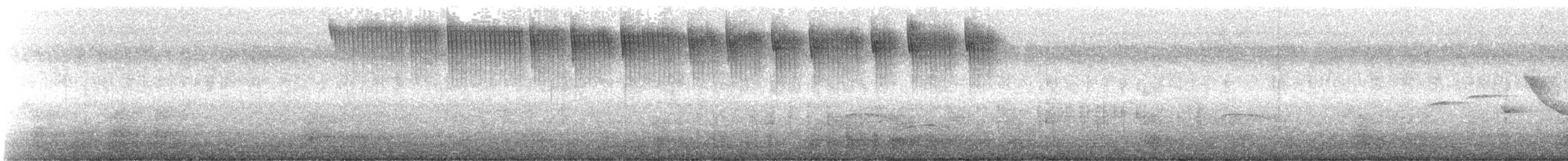 Gilded Hummingbird - ML646802972