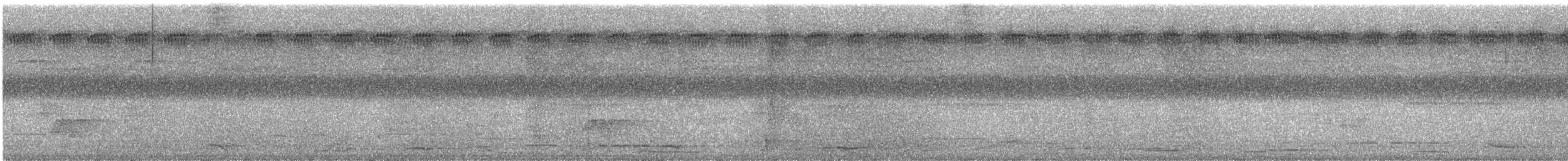 Hooded Butcherbird - ML646803279