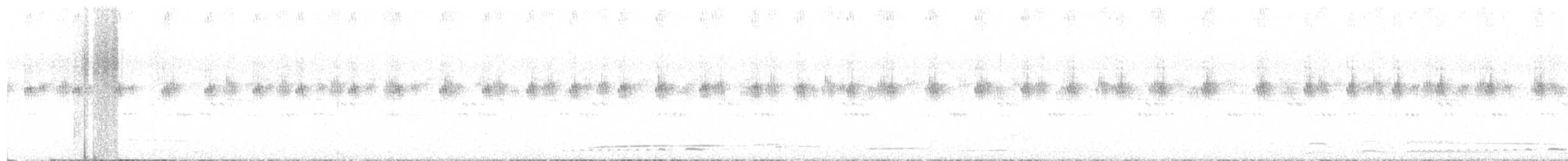 Klagetagschläfer - ML646803403