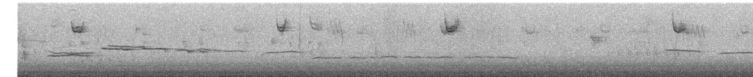 Chingolo Gorjiblanco - ML646803664