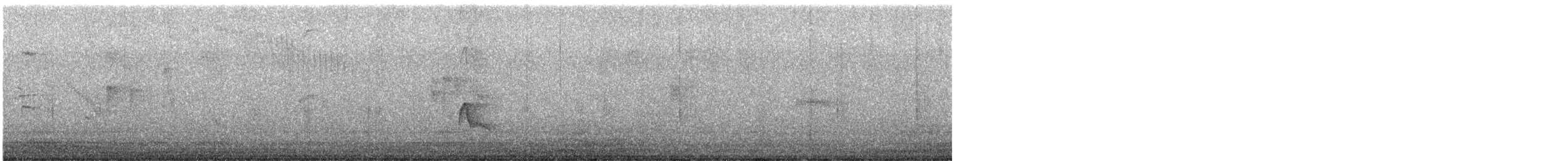 Élénie à bec court - ML646803666