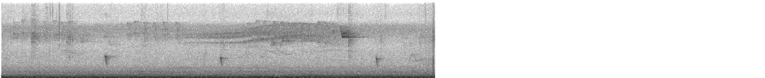 Élénie à bec court - ML646803667