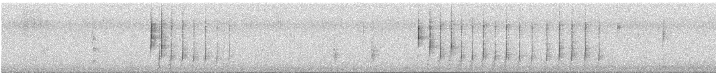 California Quail - ML646803719