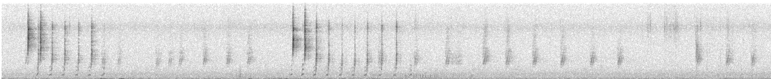 California Quail - ML646803720