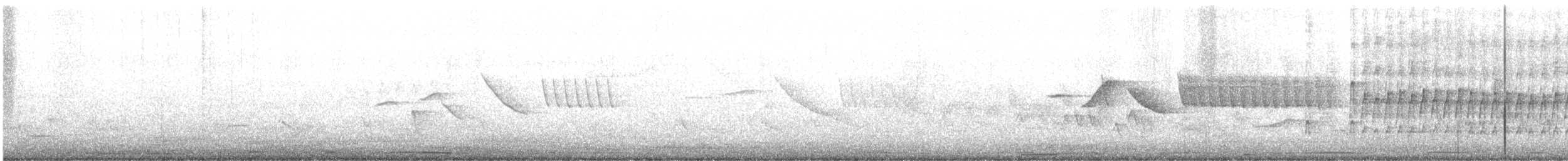 Checkered Woodpecker - ML646803721