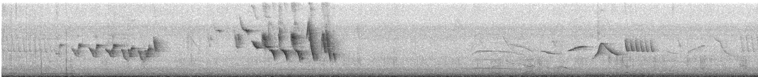 Double-collared Seedeater - ML646803731