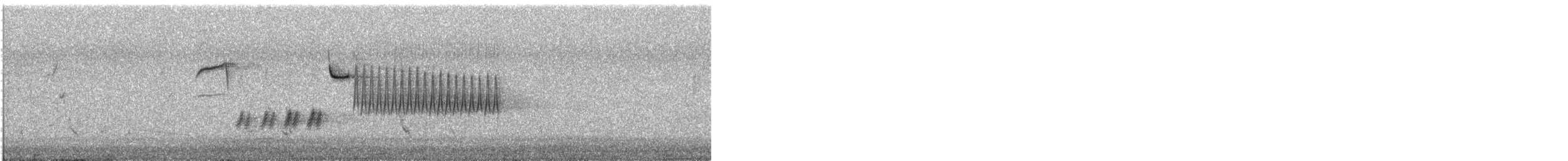 Bewick's Wren (spilurus Group) - ML646803741