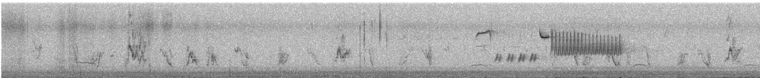 House Sparrow - ML646803746