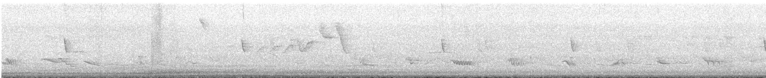 Creamy-bellied Thrush - ML646803764