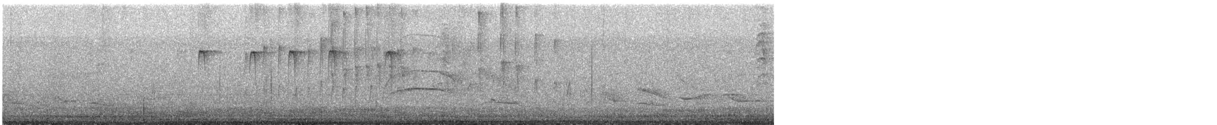 White-crested Tyrannulet - ML646803773