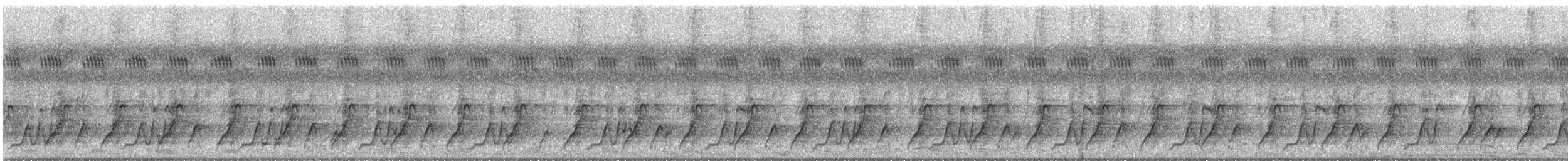Куріпка скельна (підвид petrosus) - ML646803839
