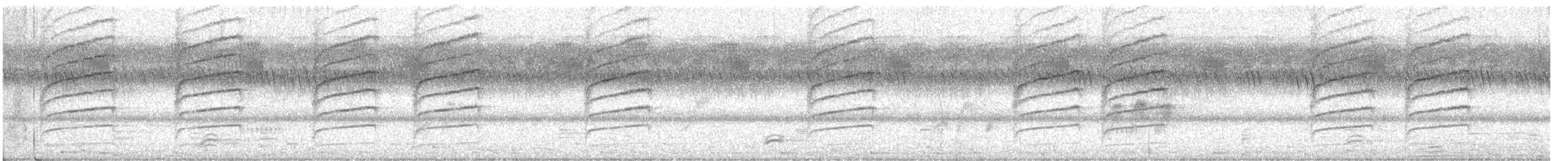 Цвіркач зелений [група brevicaudata] - ML646803920