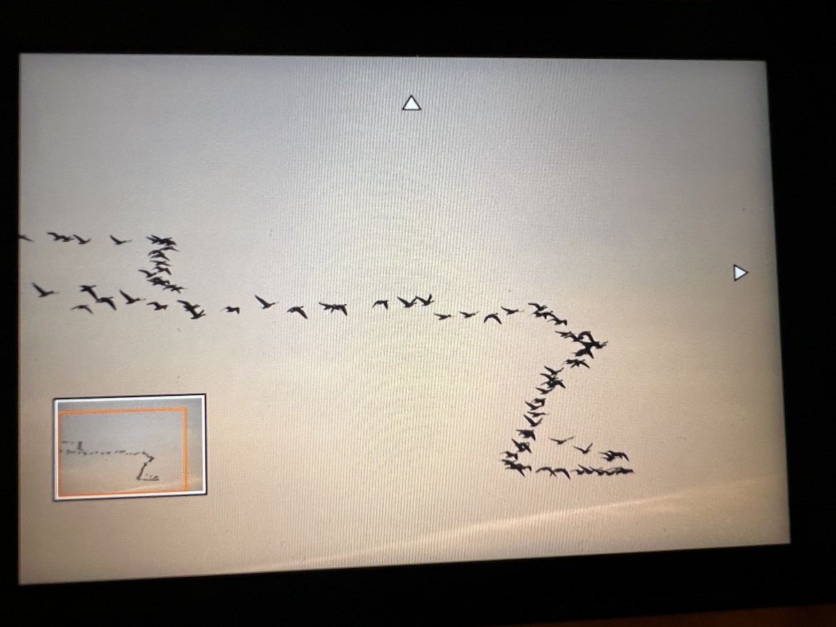 Tundra Kazı - ML646804313