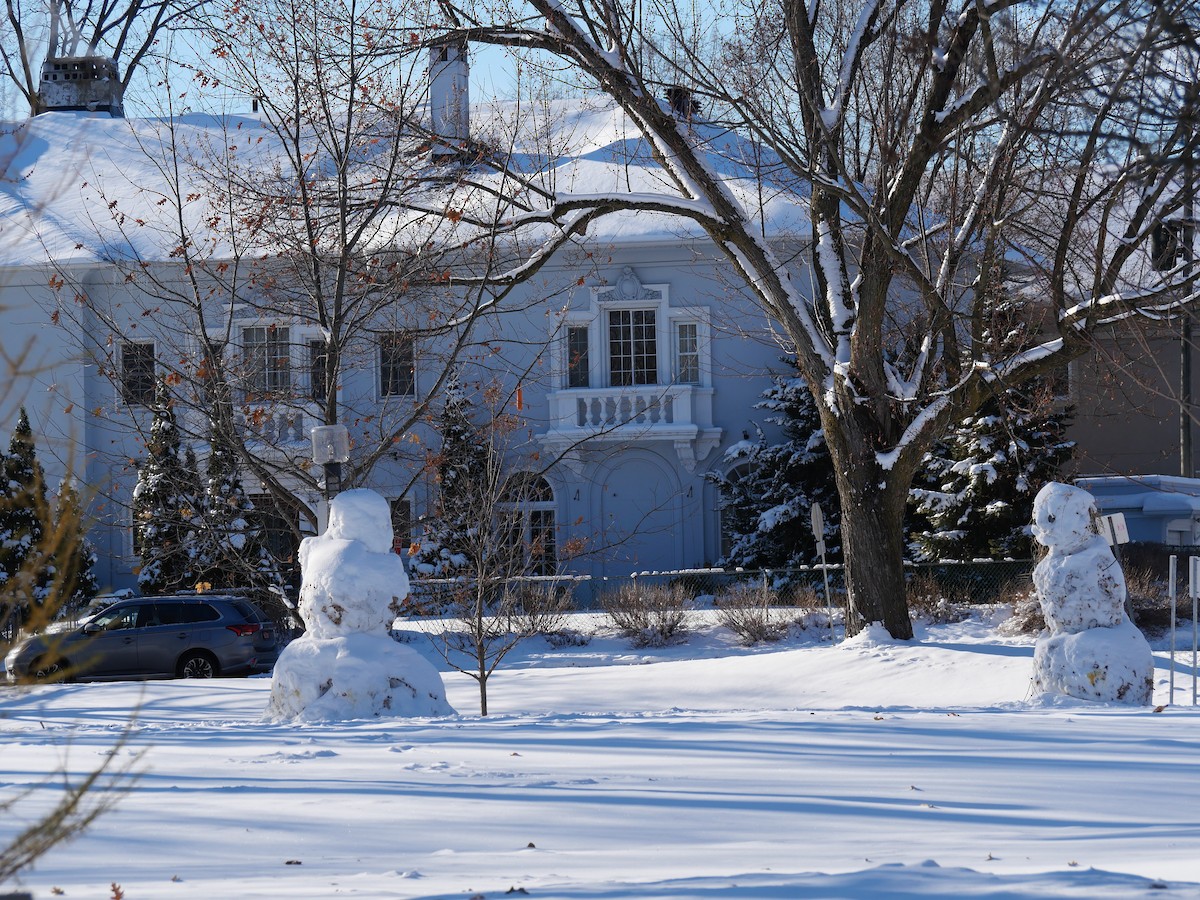 Animals - ML646804357