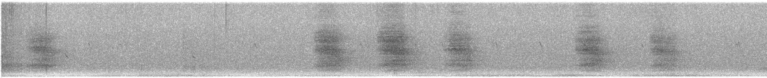 Стеллерова сойка [группа diademata] - ML646805029