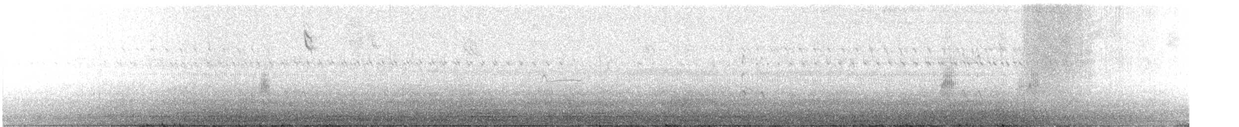 Sarılı Çinte - ML646805063