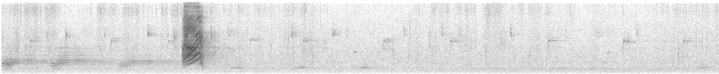 Woodhouse's Scrub-Jay - ML646805117