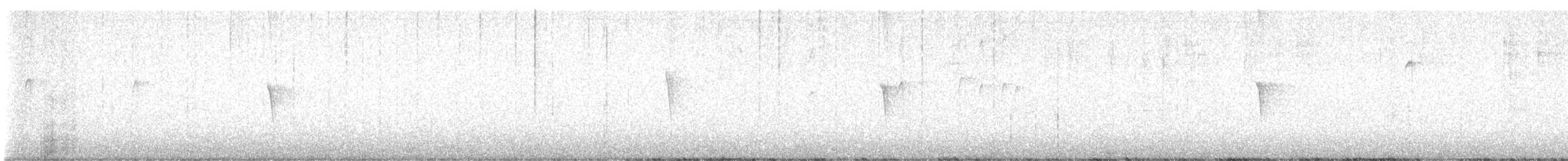 ツキヒメハエトリ - ML646805677