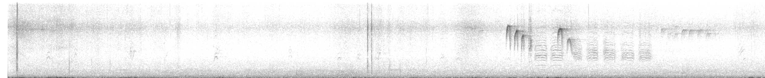 Black-capped Chickadee - ML646805780