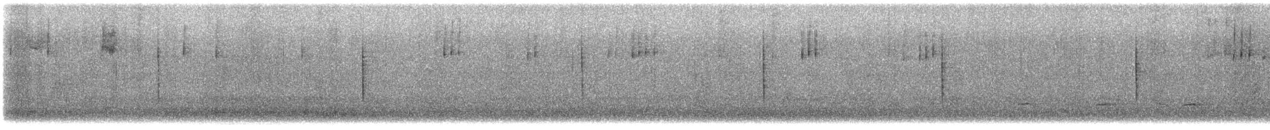 Junco ardoisé - ML646805892