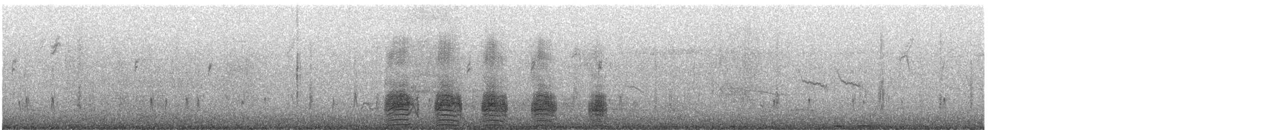 マガモ - ML646806103