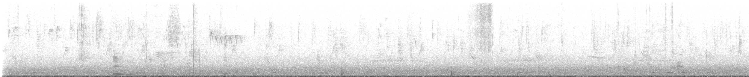 Mito Sastrecillo - ML646806283