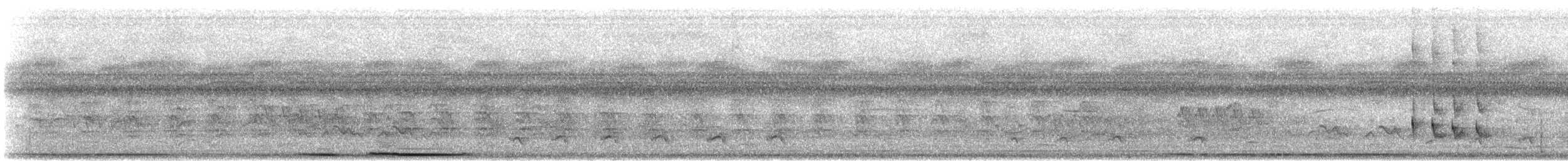 White-tipped Dove - ML646806644