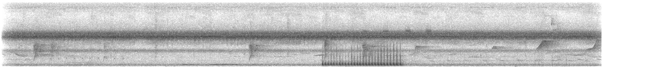 Pale-crested Woodpecker - ML646806692