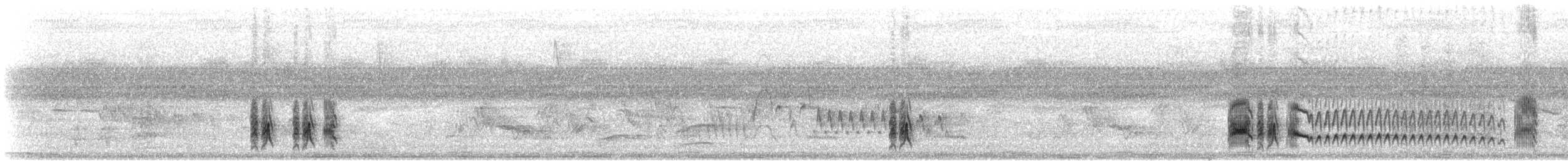 Swainson's Flycatcher - ML646806750